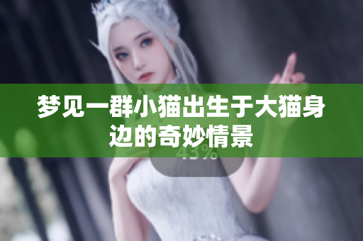 梦见一群小猫出生于大猫身边的奇妙情景