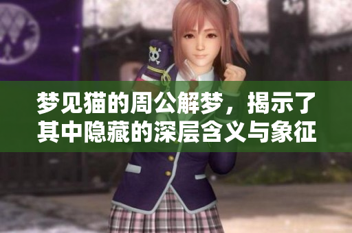 梦见猫的周公解梦，揭示了其中隐藏的深层含义与象征意义