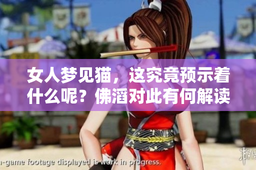 女人梦见猫，这究竟预示着什么呢？佛滔对此有何解读与看法？