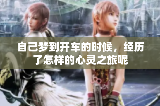 自己梦到开车的时候，经历了怎样的心灵之旅呢