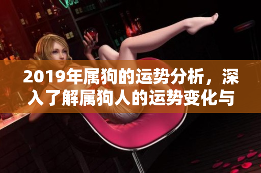 2019年属狗的运势分析，深入了解属狗人的运势变化与挑战