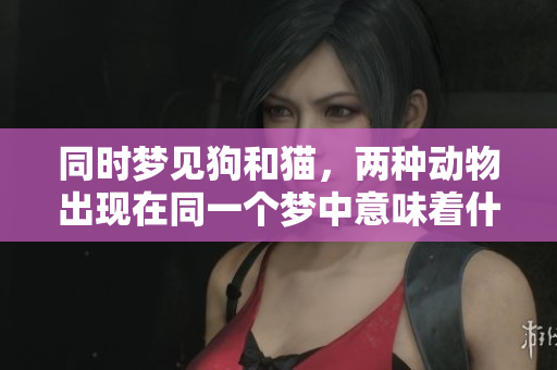 同时梦见狗和猫，两种动物出现在同一个梦中意味着什么呢