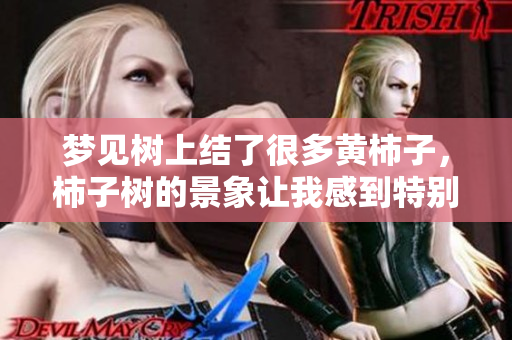 梦见树上结了很多黄柿子，柿子树的景象让我感到特别温馨