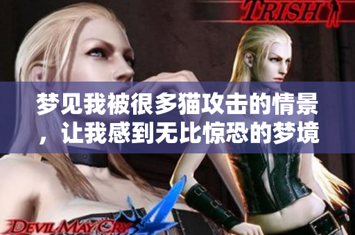 梦见我被很多猫攻击的情景，让我感到无比惊恐的梦境