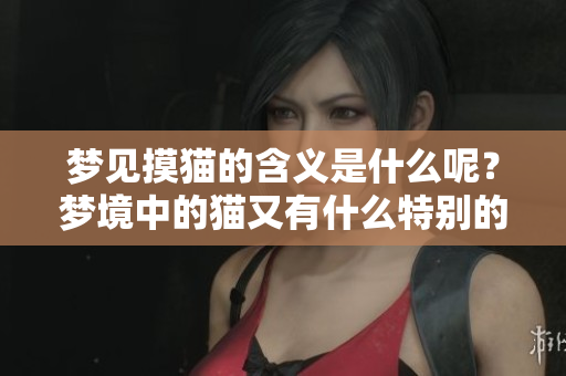 梦见摸猫的含义是什么呢？梦境中的猫又有什么特别的象征呢