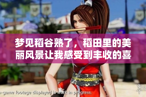 梦见稻谷熟了，稻田里的美丽风景让我感受到丰收的喜悦