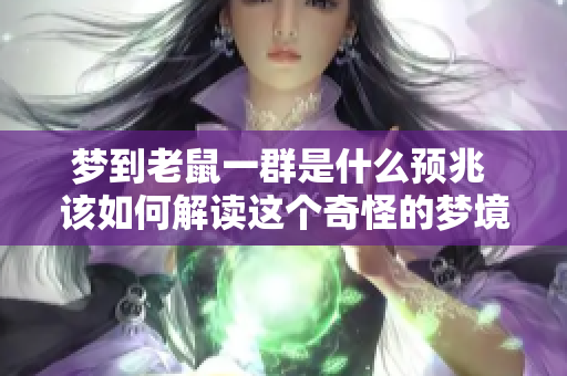 梦到老鼠一群是什么预兆 该如何解读这个奇怪的梦境呢