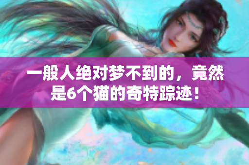 一般人绝对梦不到的，竟然是6个猫的奇特踪迹！