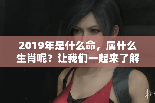 2019年是什么命，属什么生肖呢？让我们一起来了解一下吧！