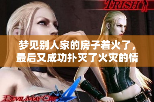 梦见别人家的房子着火了，最后又成功扑灭了火灾的情景。