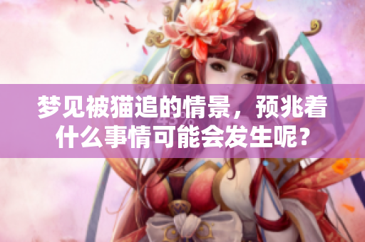 梦见被猫追的情景，预兆着什么事情可能会发生呢？