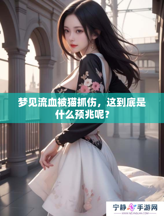 梦见流血被猫抓伤，这到底是什么预兆呢？