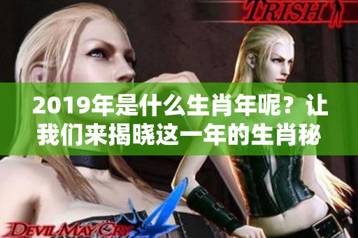2019年是什么生肖年呢？让我们来揭晓这一年的生肖秘密。
