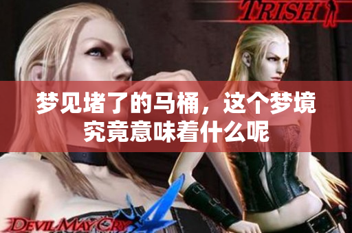 梦见堵了的马桶，这个梦境究竟意味着什么呢