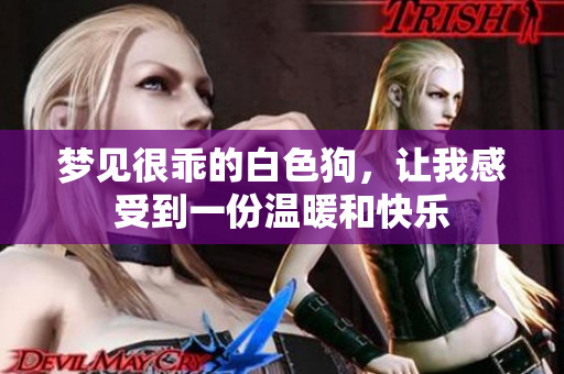 梦见很乖的白色狗，让我感受到一份温暖和快乐