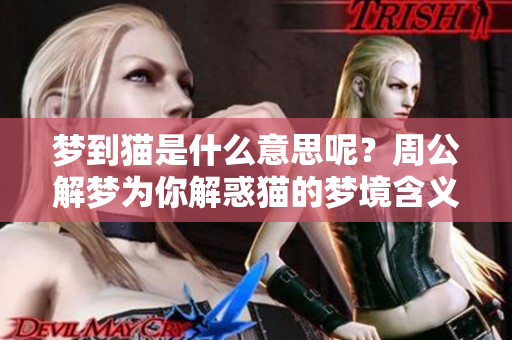 梦到猫是什么意思呢？周公解梦为你解惑猫的梦境含义