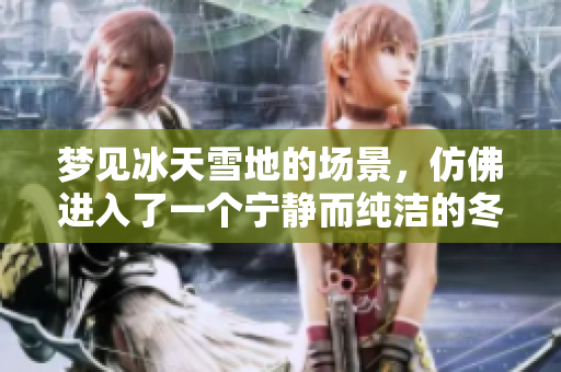 梦见冰天雪地的场景，仿佛进入了一个宁静而纯洁的冬季世界