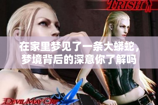 在家里梦见了一条大蟒蛇，梦境背后的深意你了解吗