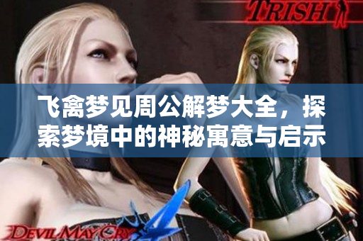 飞禽梦见周公解梦大全，探索梦境中的神秘寓意与启示