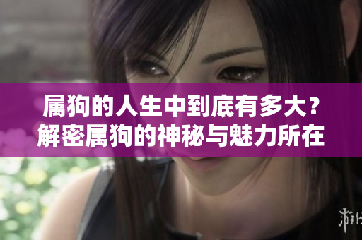 属狗的人生中到底有多大？解密属狗的神秘与魅力所在