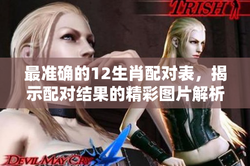 最准确的12生肖配对表，揭示配对结果的精彩图片解析。
