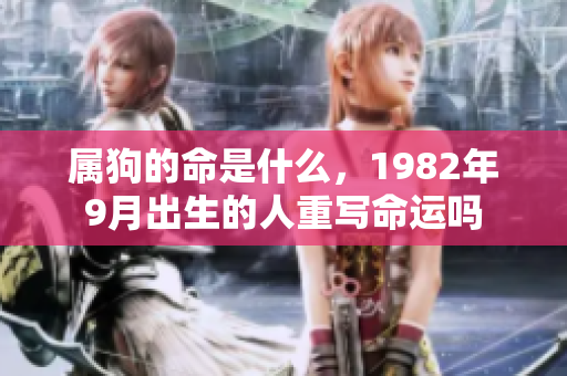 属狗的命是什么，1982年9月出生的人重写命运吗