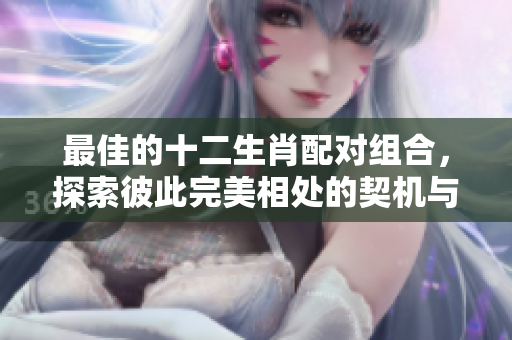 最佳的十二生肖配对组合，探索彼此完美相处的契机与和谐关系
