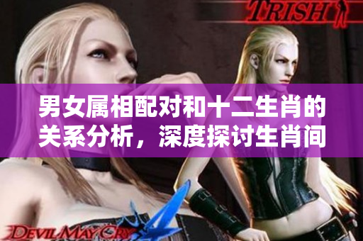 男女属相配对和十二生肖的关系分析，深度探讨生肖间的完美组合