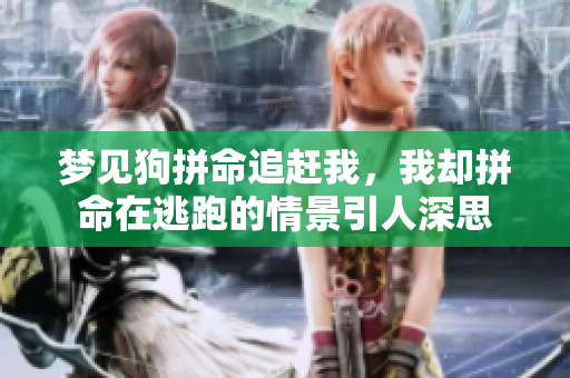 梦见狗拼命追赶我，我却拼命在逃跑的情景引人深思