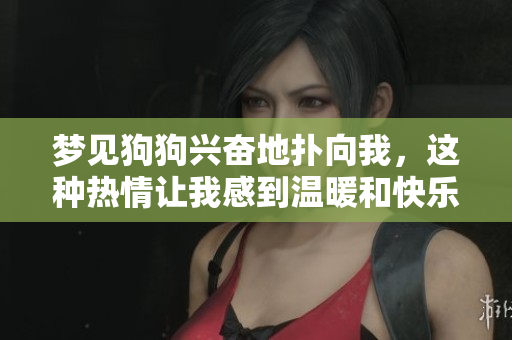 梦见狗狗兴奋地扑向我，这种热情让我感到温暖和快乐