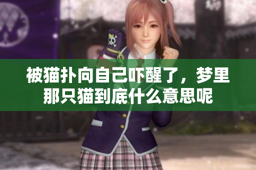 被猫扑向自己吓醒了，梦里那只猫到底什么意思呢