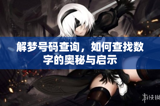 解梦号码查询，如何查找数字的奥秘与启示
