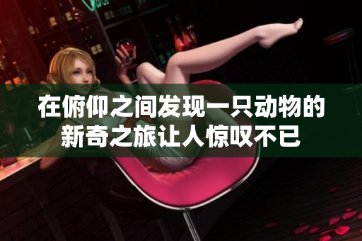 在俯仰之间发现一只动物的新奇之旅让人惊叹不已