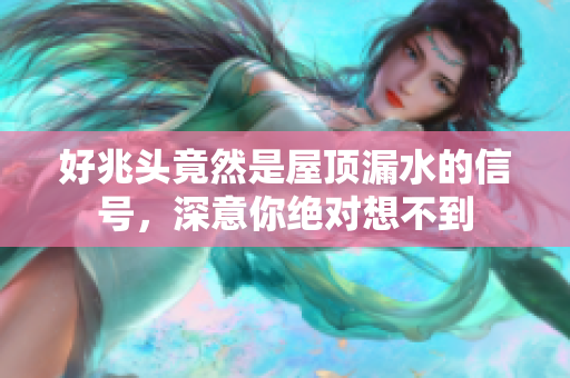 好兆头竟然是屋顶漏水的信号，深意你绝对想不到