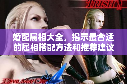 婚配属相大全，揭示最合适的属相搭配方法和推荐建议