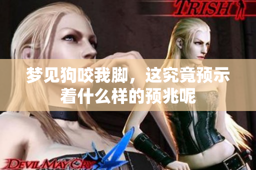 梦见狗咬我脚，这究竟预示着什么样的预兆呢
