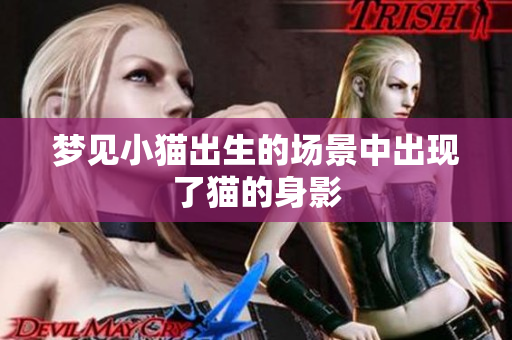 梦见小猫出生的场景中出现了猫的身影