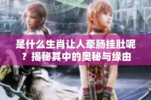 是什么生肖让人牵肠挂肚呢？揭秘其中的奥秘与缘由