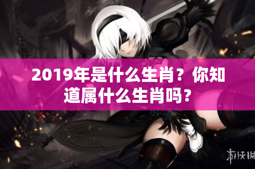 2019年是什么生肖？你知道属什么生肖吗？