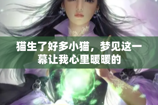 猫生了好多小猫，梦见这一幕让我心里暖暖的