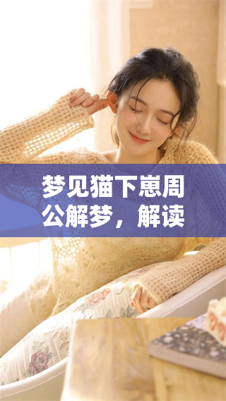 梦见猫下崽周公解梦，解读其中深意和预兆是什么呢