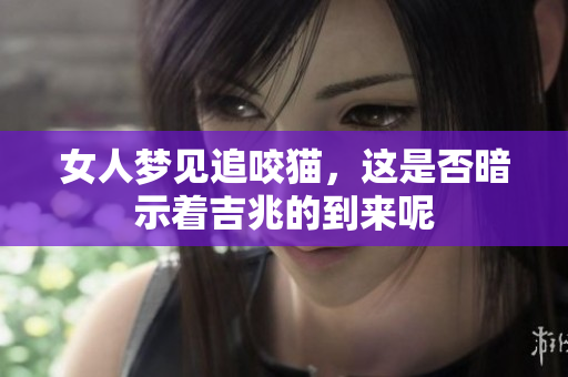 女人梦见追咬猫，这是否暗示着吉兆的到来呢
