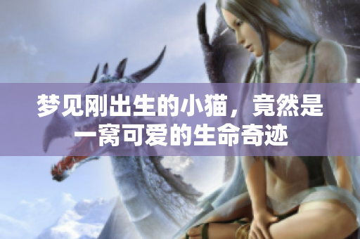 梦见刚出生的小猫，竟然是一窝可爱的生命奇迹
