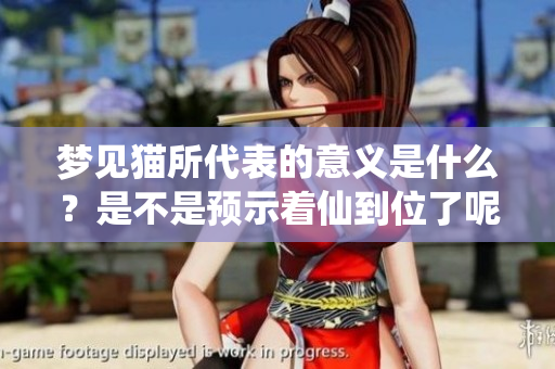 梦见猫所代表的意义是什么？是不是预示着仙到位了呢？
